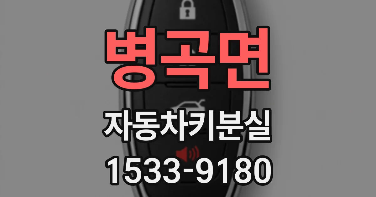 병곡면 자동차키분실