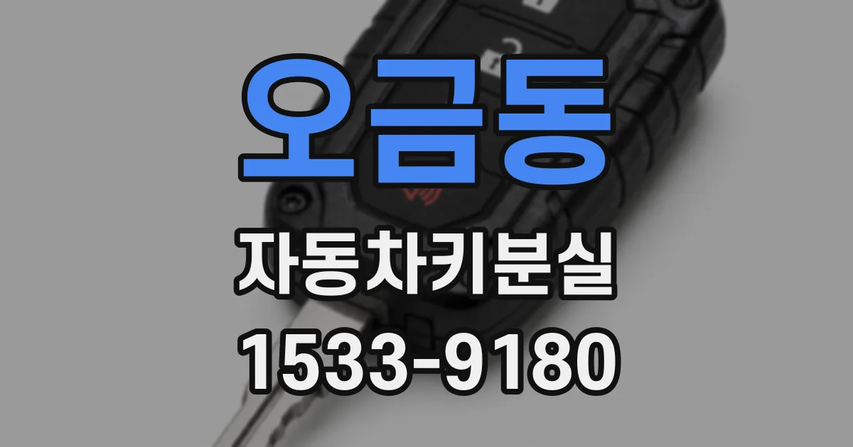 오금동 자동차키분실