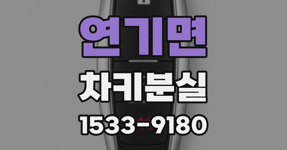 연기면 차키분실