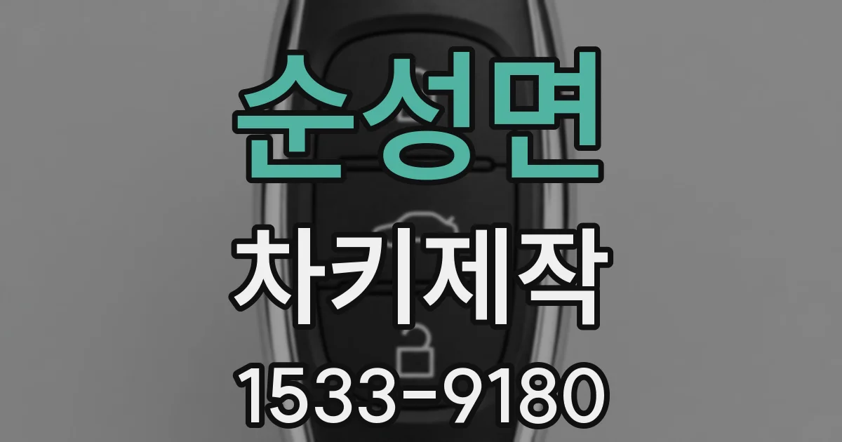 순성면 차키제작