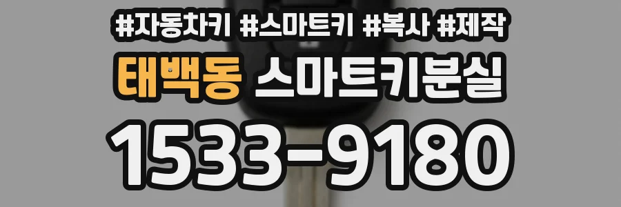 태백동 스마트키분실