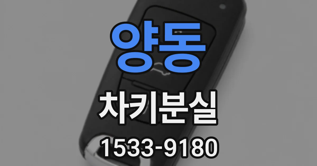 양동 차키분실