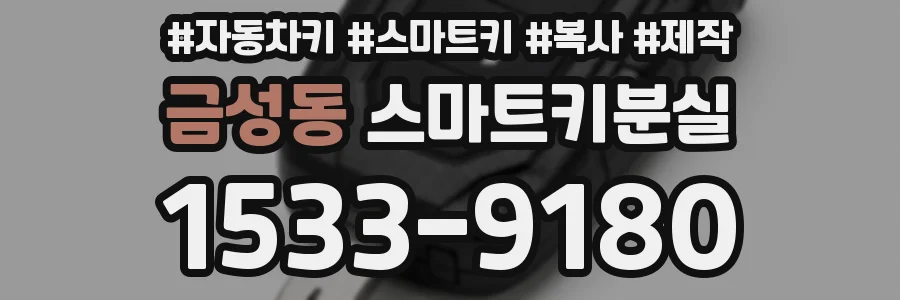 금성동 스마트키분실