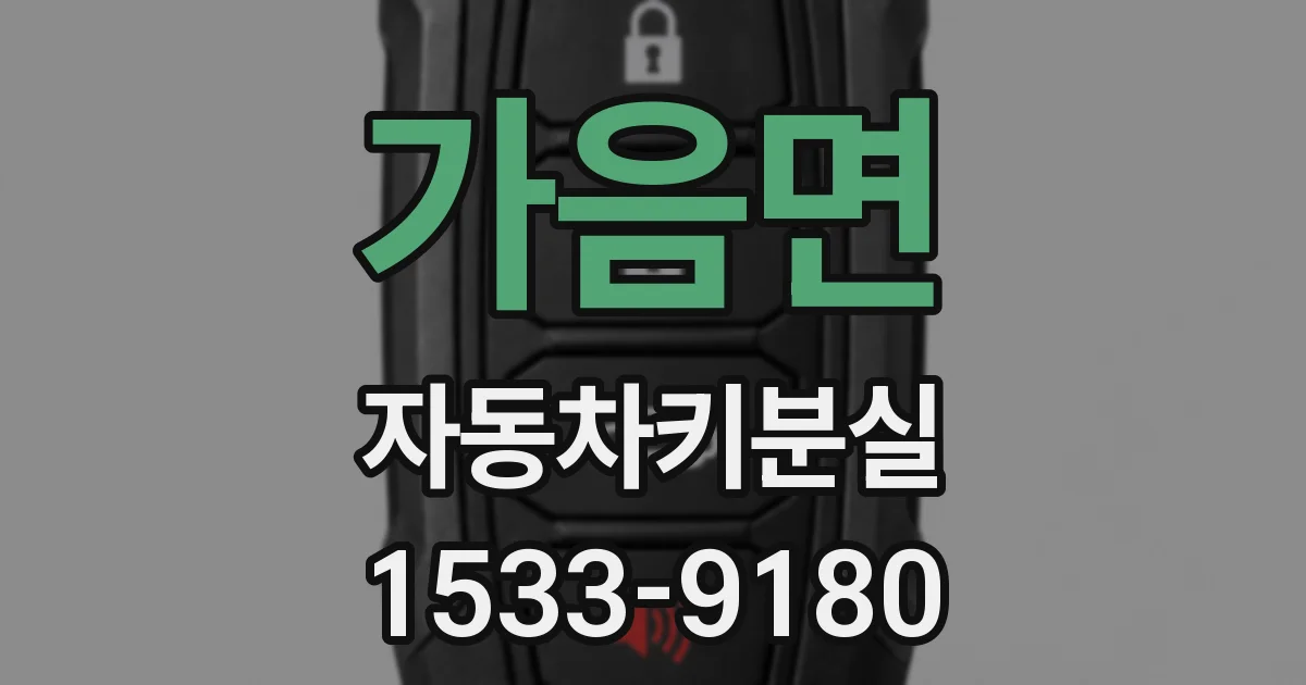 가음면 자동차키분실