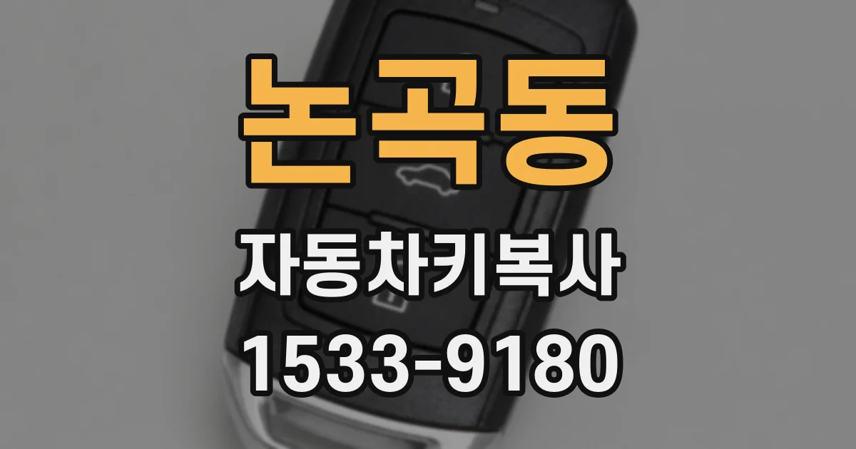 논곡동 자동차키복사