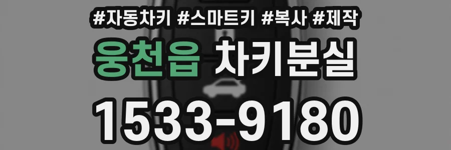 웅천읍 차키분실