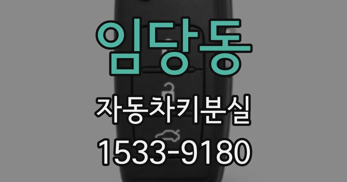 임당동 자동차키분실