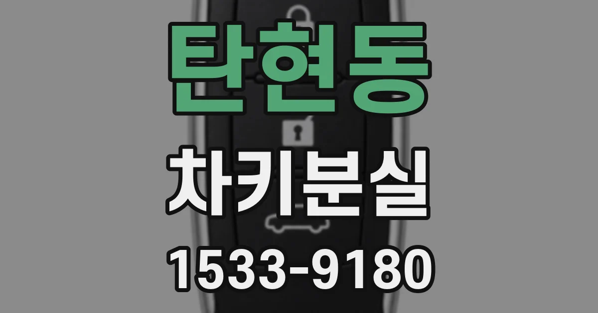 탄현동 차키분실