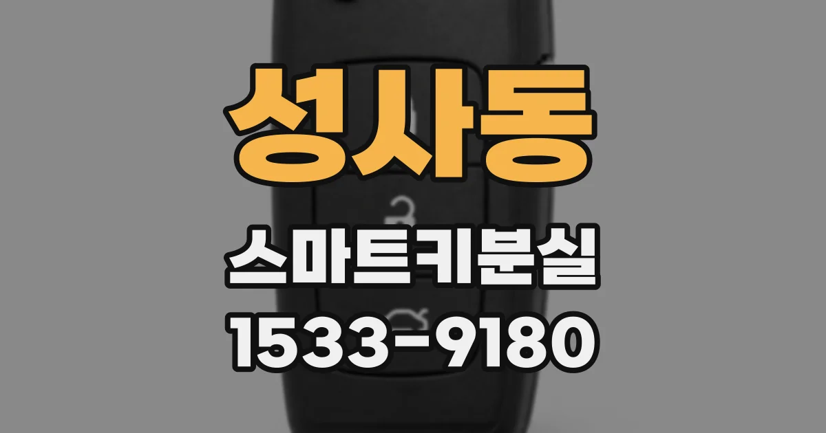 성사동 스마트키분실