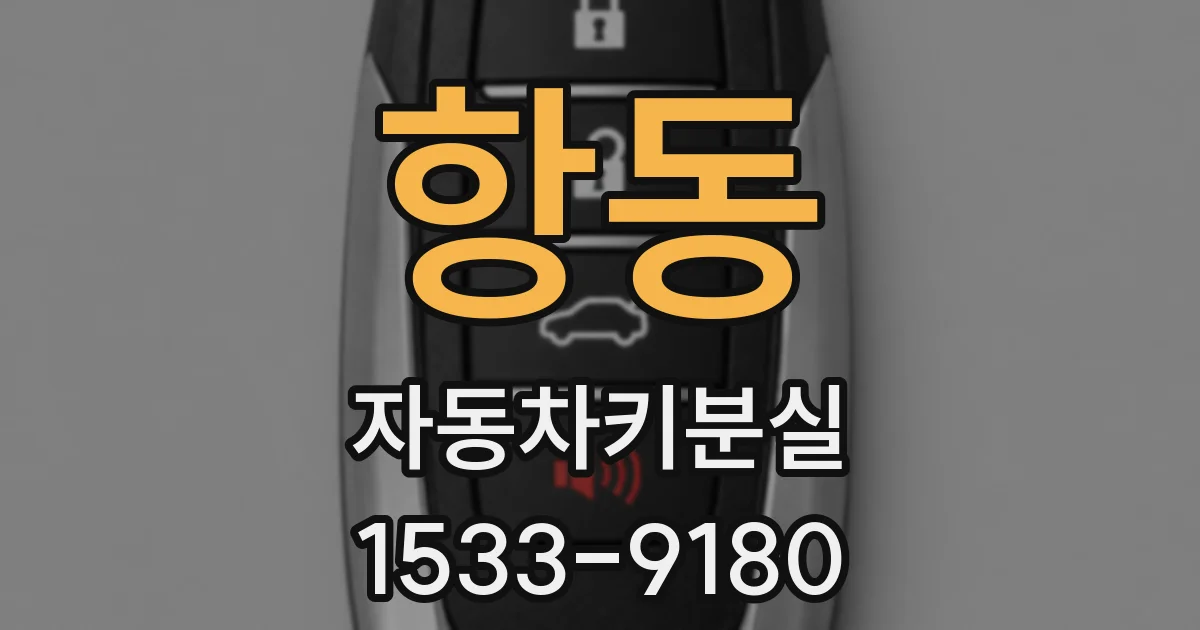 항동 자동차키분실