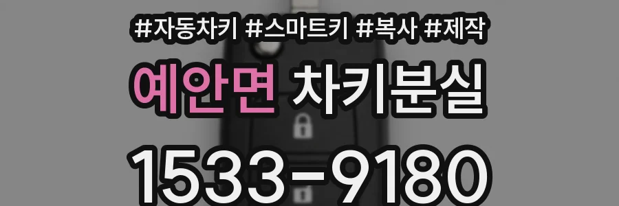 예안면 차키분실