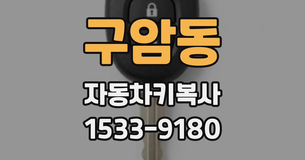 구암동 자동차키복사
