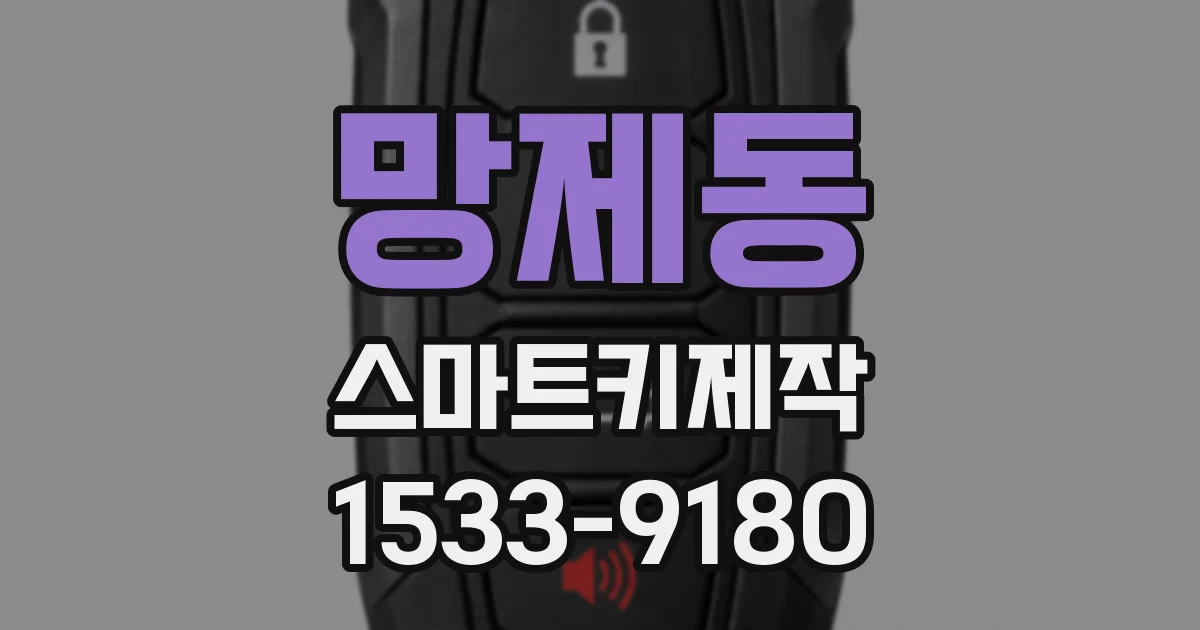 망제동 스마트키제작