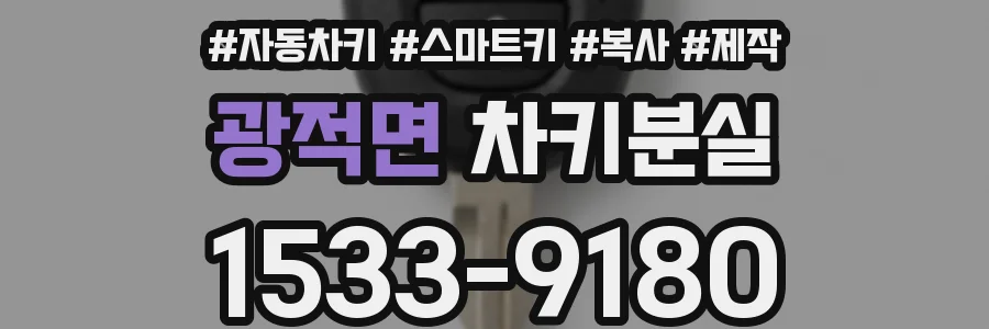 광적면 차키분실