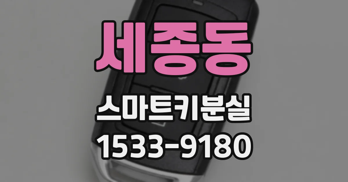 세종동 스마트키분실