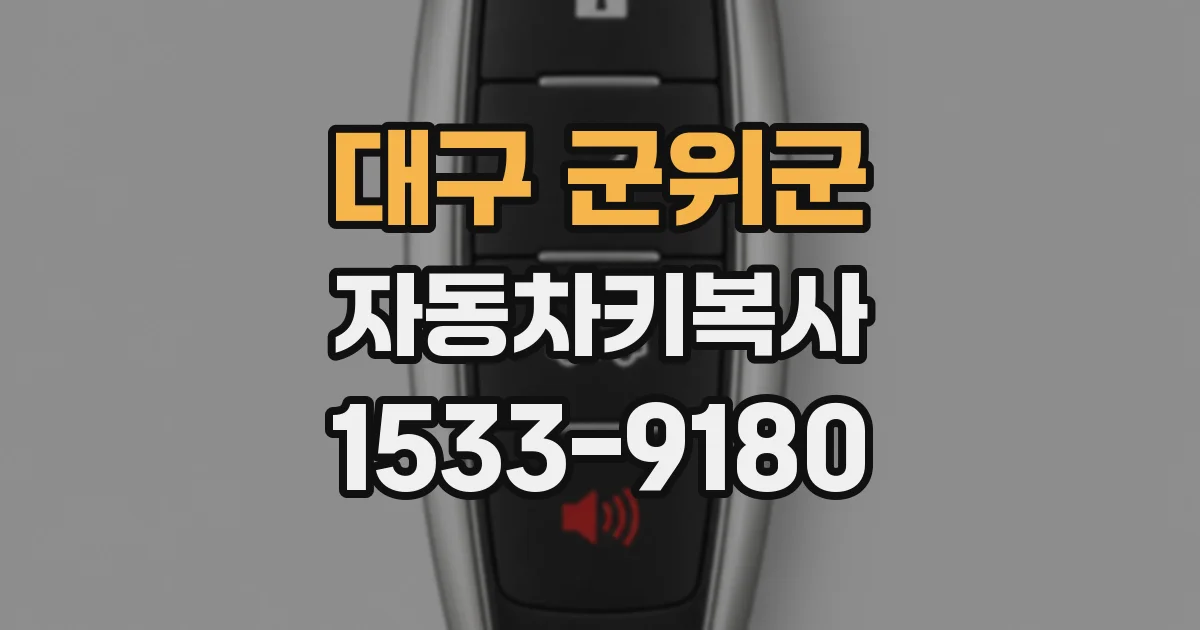 대구 군위군 자동차키복사