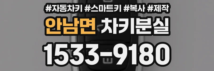 안남면 차키분실
