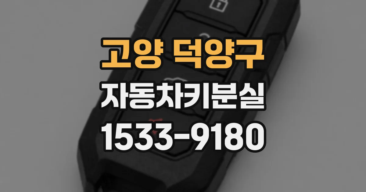 고양 덕양구 자동차키분실
