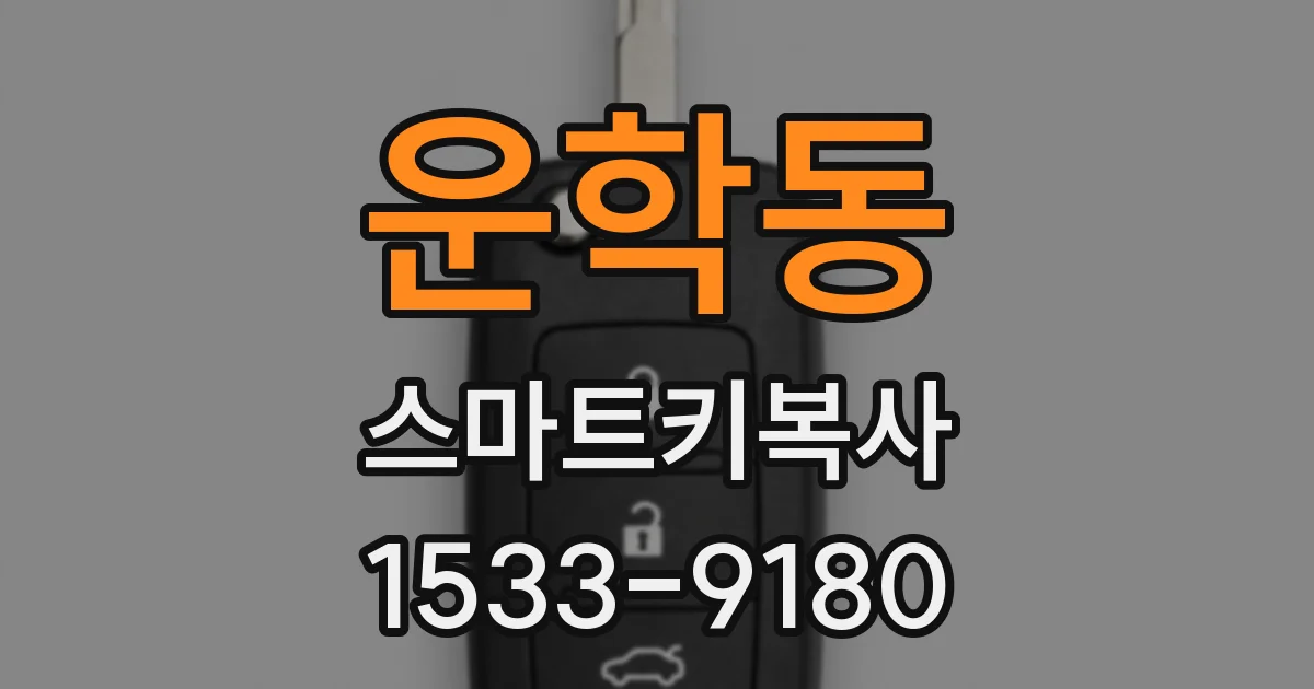 운학동 스마트키복사