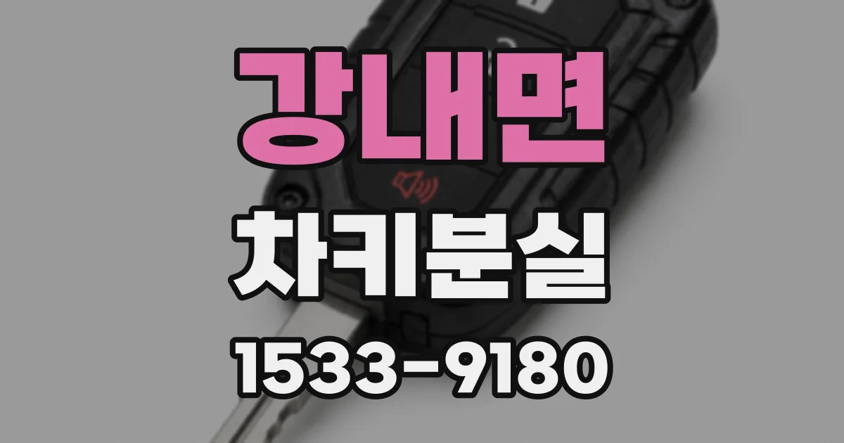 강내면 차키분실
