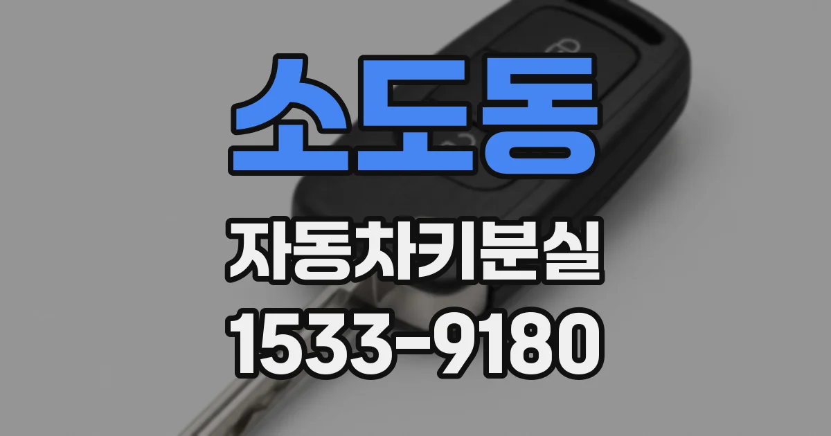 소도동 자동차키분실