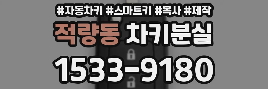 적량동 차키분실