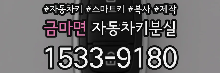 금마면 자동차키분실