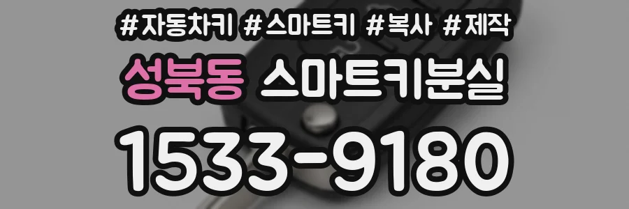 성북동 스마트키분실