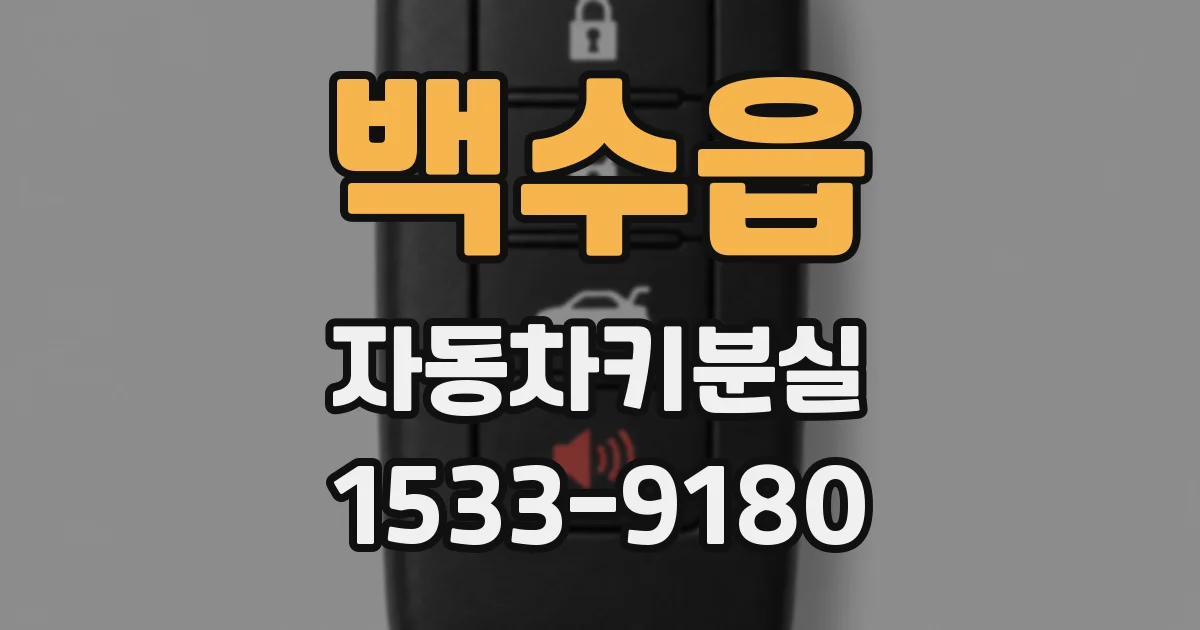 백수읍 자동차키분실