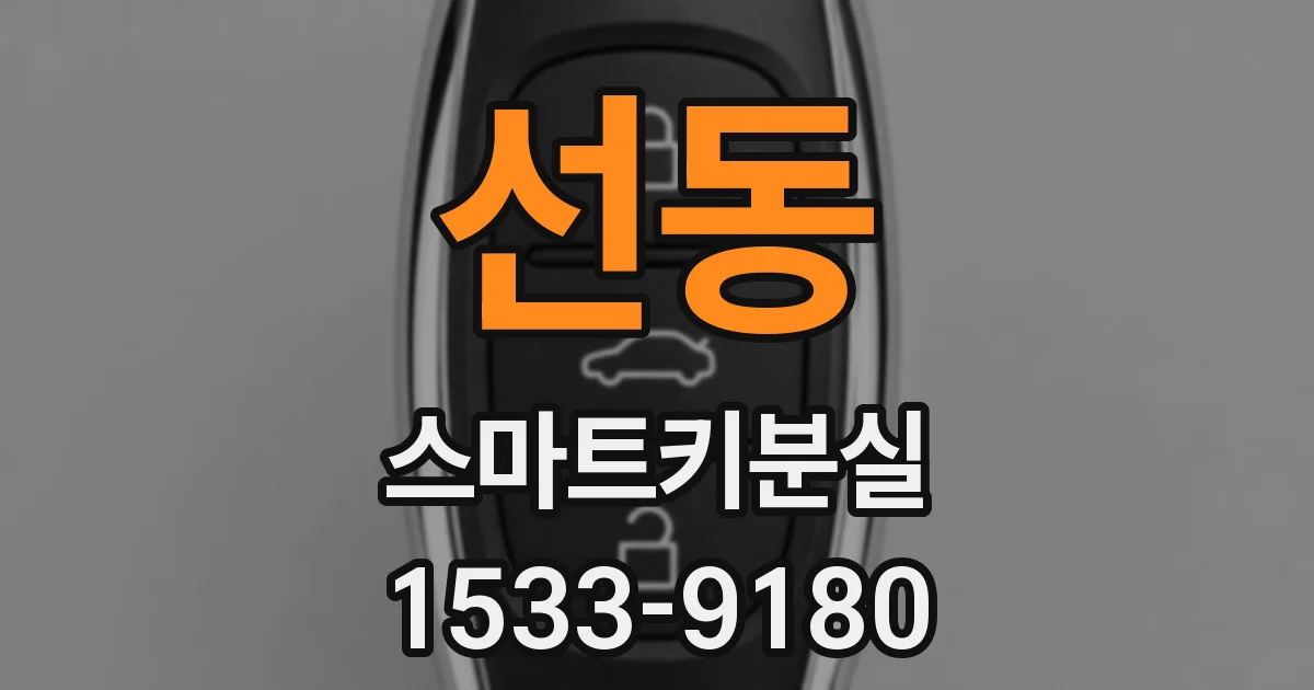 선동 스마트키분실