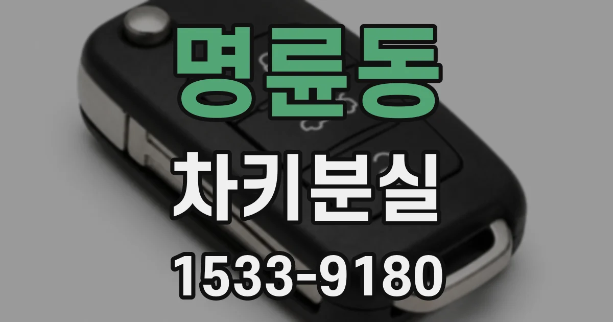 명륜동 차키분실