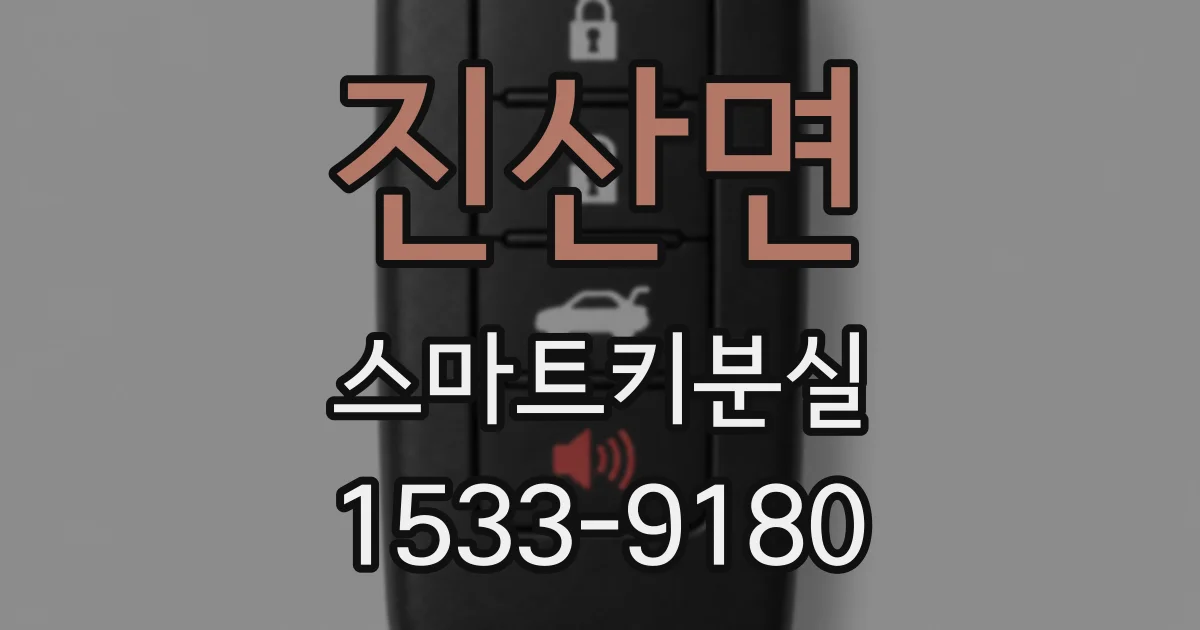 진산면 스마트키분실