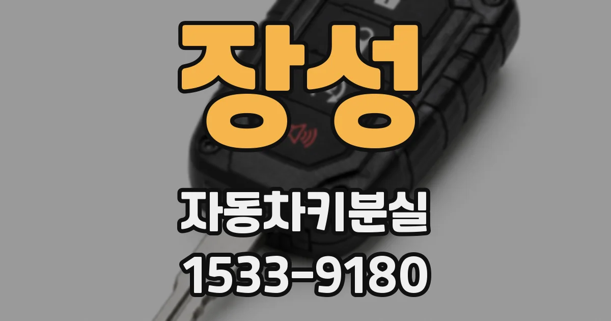 장성 자동차키분실