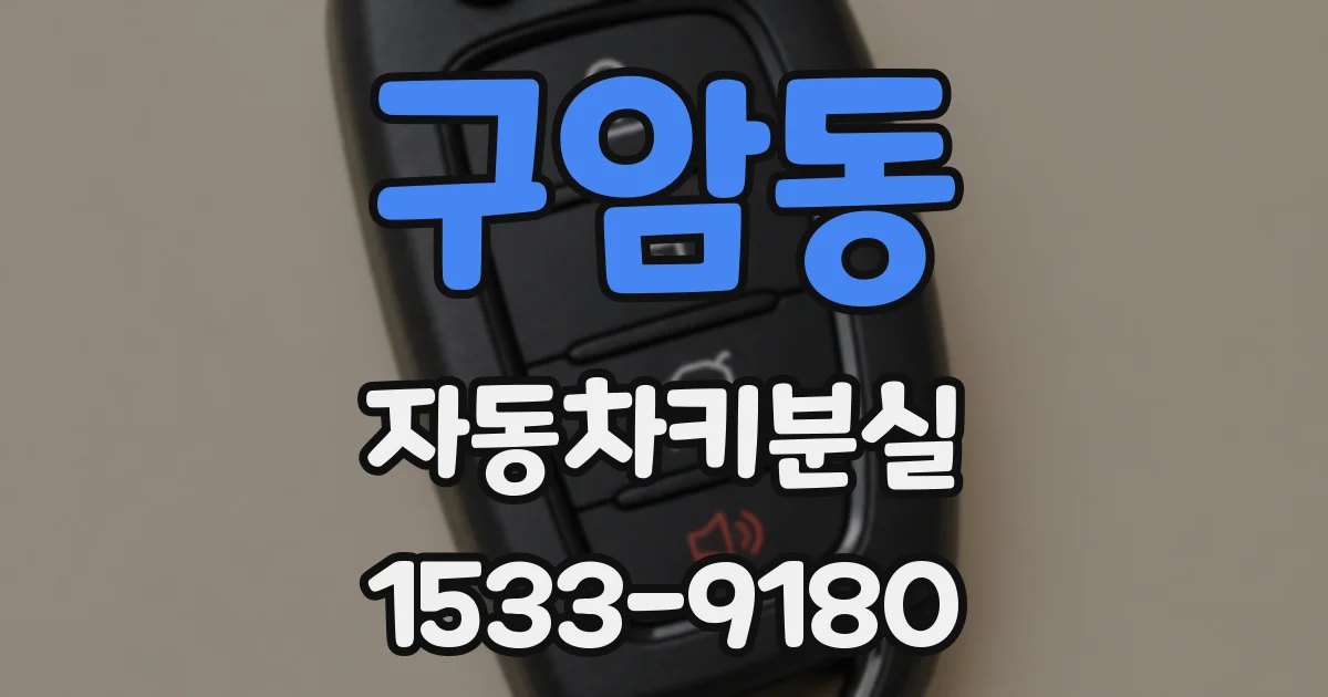 구암동 자동차키분실