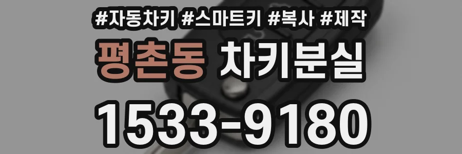 평촌동 차키분실