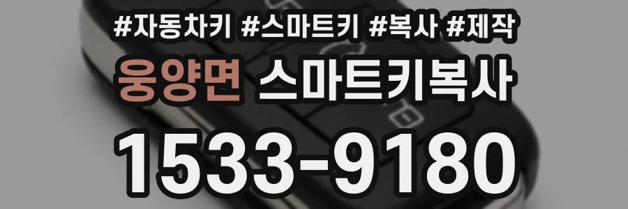 웅양면 스마트키복사