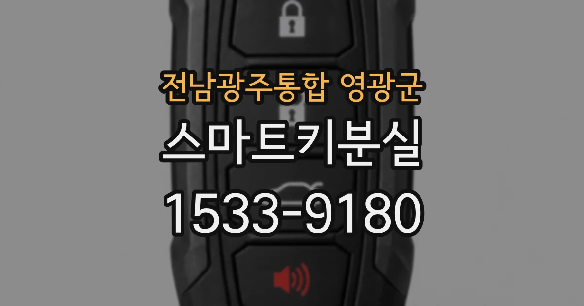 전남광주통합 영광군 스마트키분실