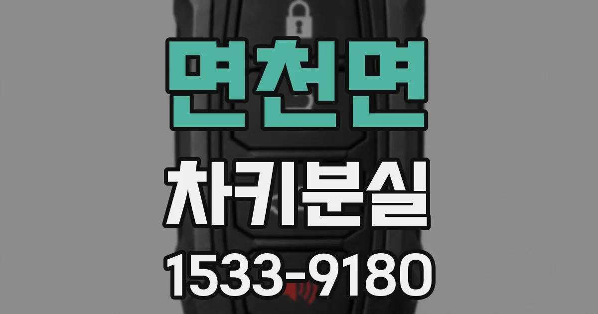 면천면 차키분실