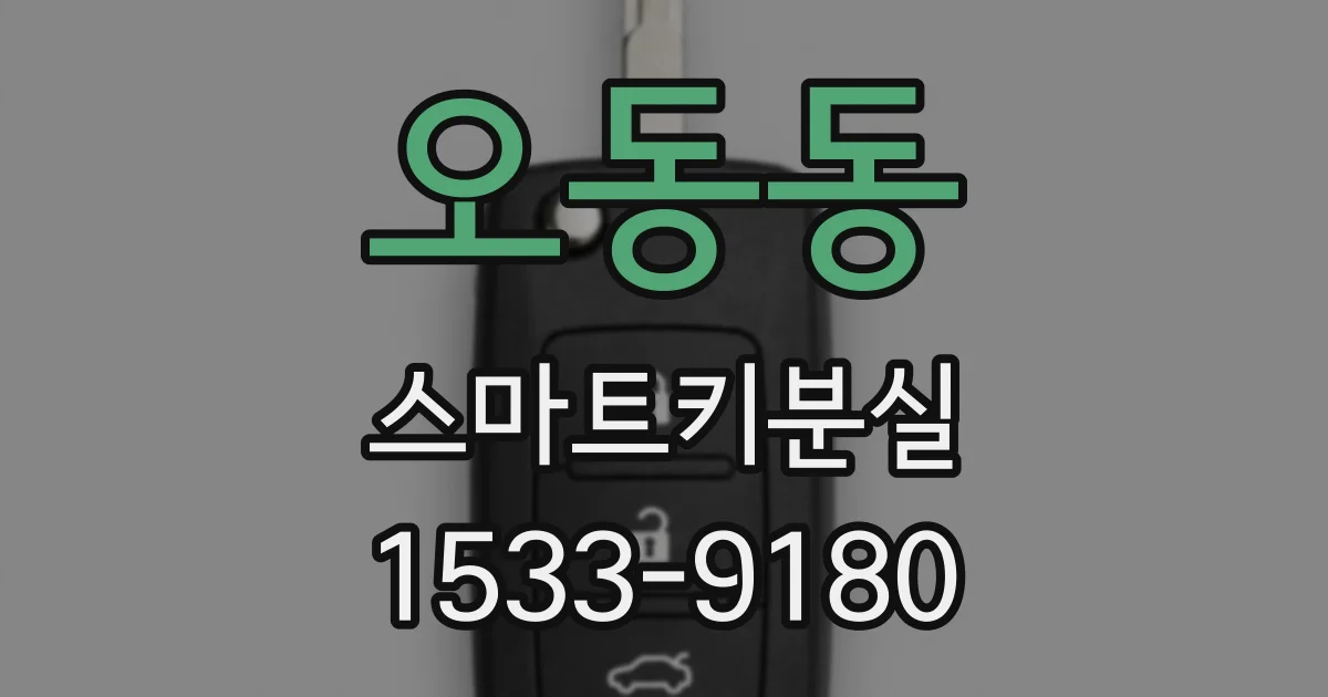 오동동 스마트키분실