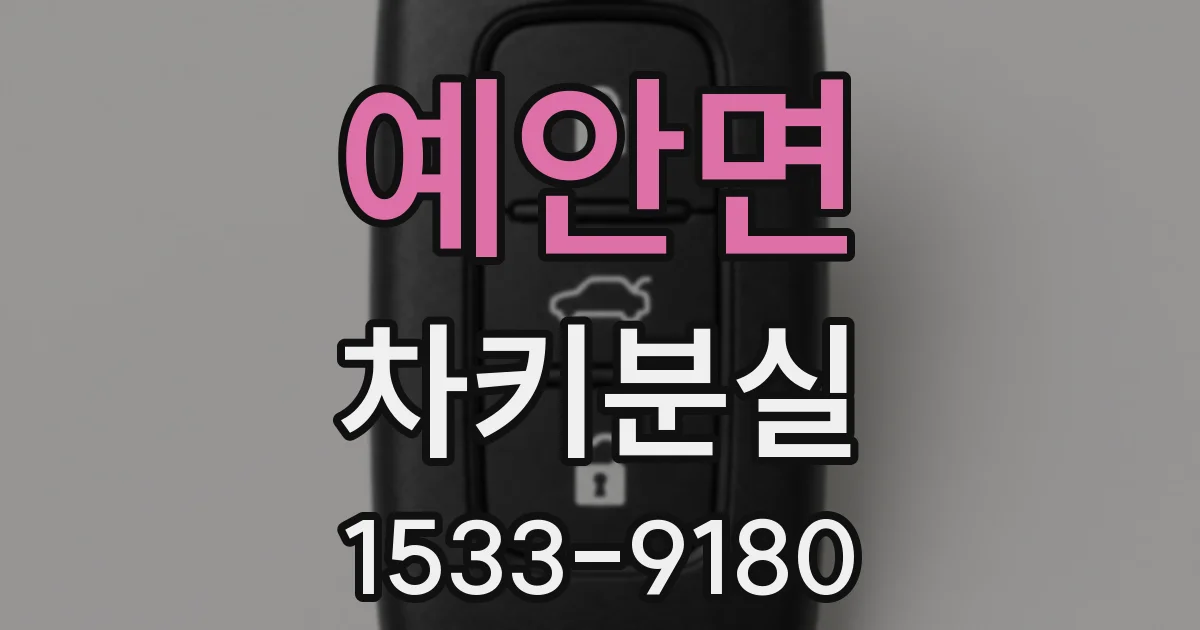 예안면 차키분실