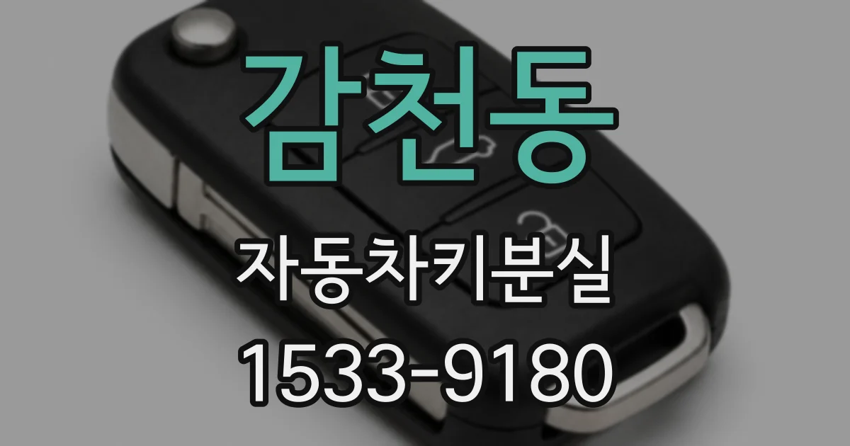 감천동 자동차키분실