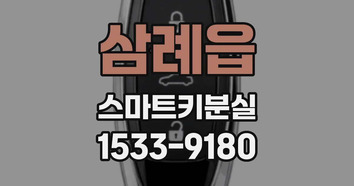 삼례읍 스마트키분실