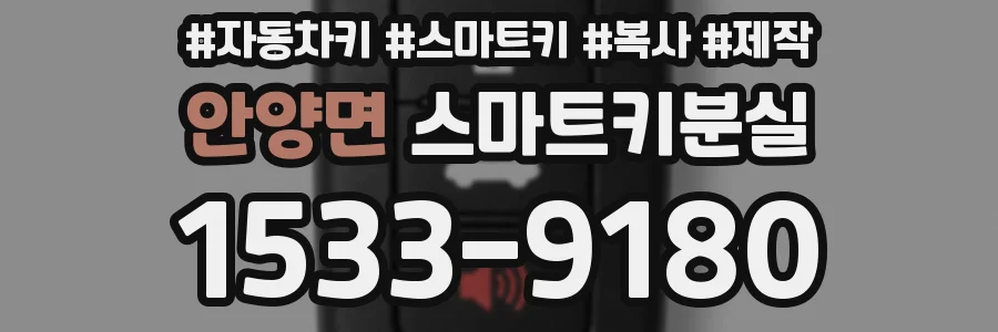 안양면 스마트키분실