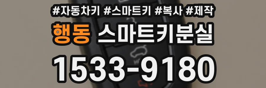 행동 스마트키분실