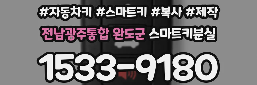 전남광주통합 완도군 스마트키분실
