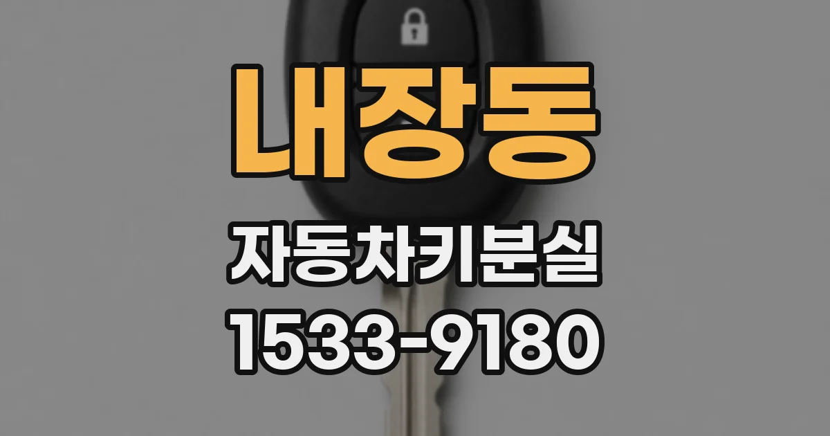 내장동 자동차키분실