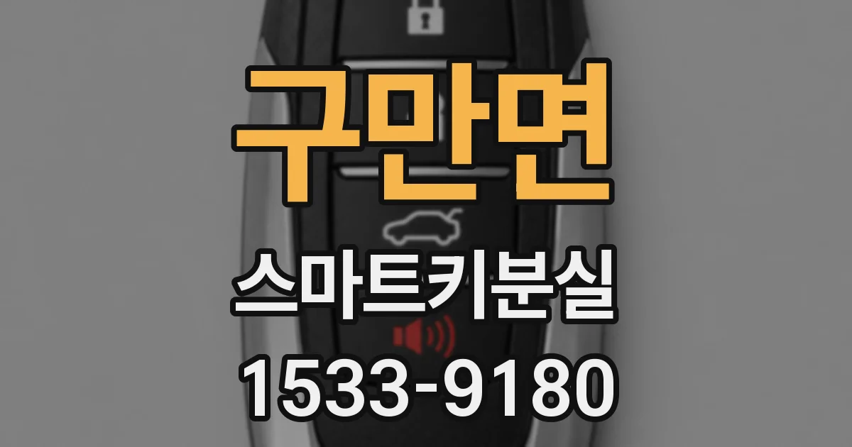구만면 스마트키분실
