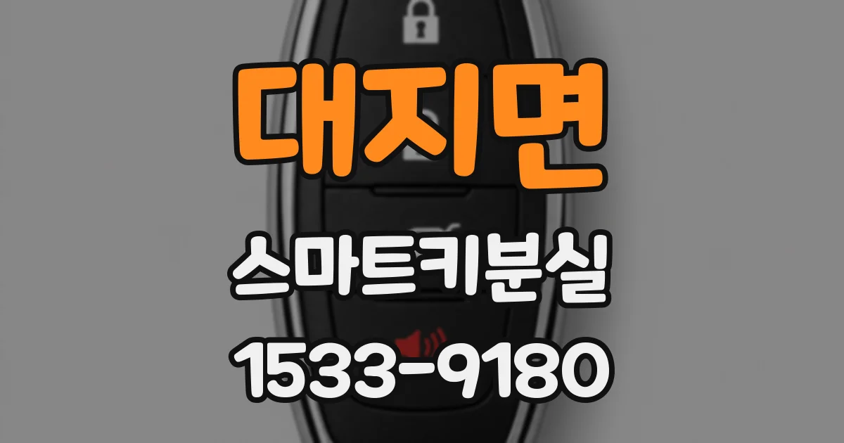 대지면 스마트키분실