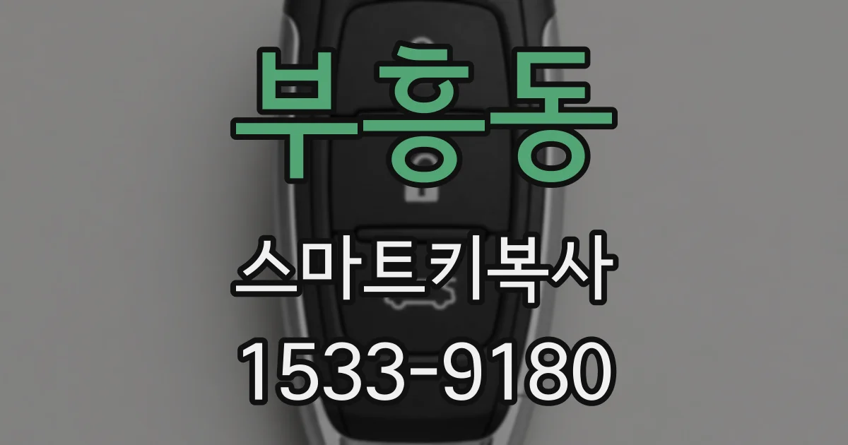 부흥동 스마트키복사