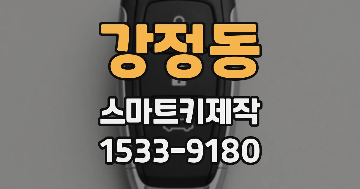 강정동 스마트키제작